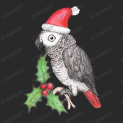 Christmas African Grey Parrot Toddler T-shirt -Deals T-Shirt Store d.2525158230.25069287.s3.1 292929 Qndpc2VsaXp6eQ 800x800 1