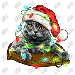 Christmas Scottish Fold Cat Youth Hoodie -Deals T-Shirt Store d.2526742290.25093235.s3.1 ffffff YXJ0aXN0c2hvdA 800x800 1