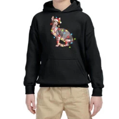 Christmas Sphynx Cat Youth Hoodie